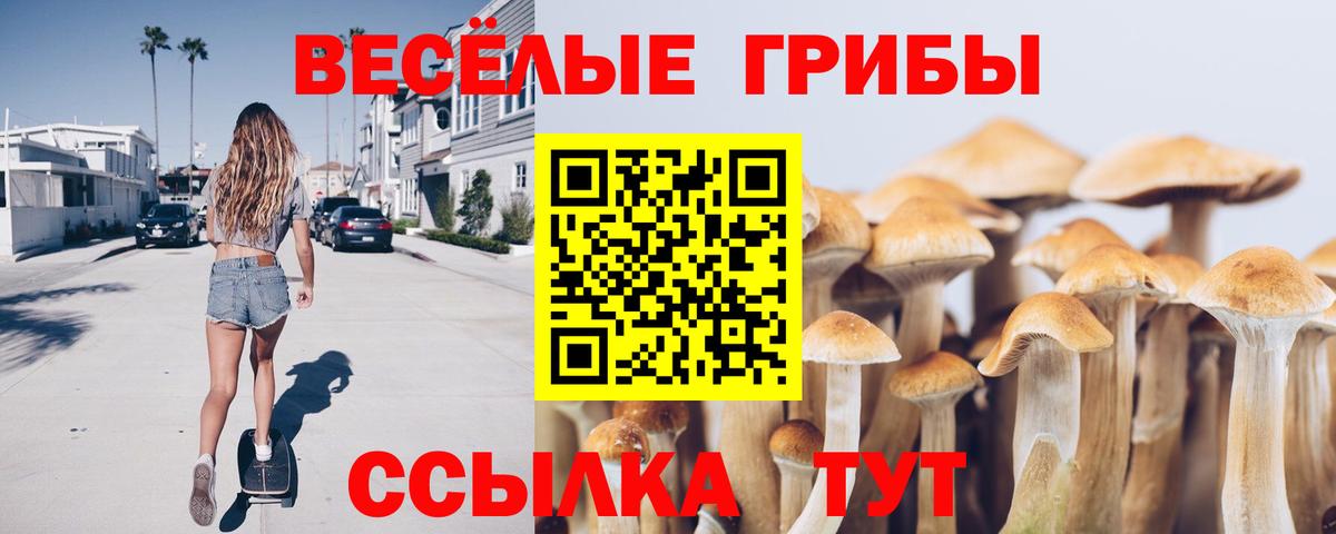 Псилоцибиновые грибы Magic Shrooms  Вход с VPN  Анжеро-Судженск 
